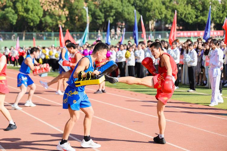 象成为了新