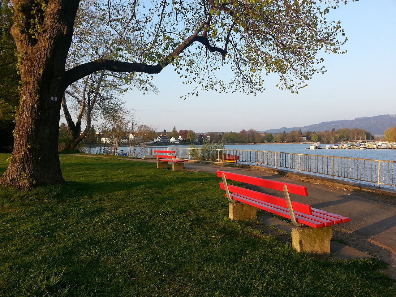 历史成绩 历史成绩