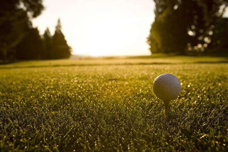 这种平衡理 这种平衡理