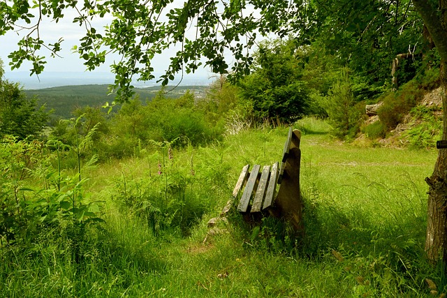 如此高效的 如此高效的