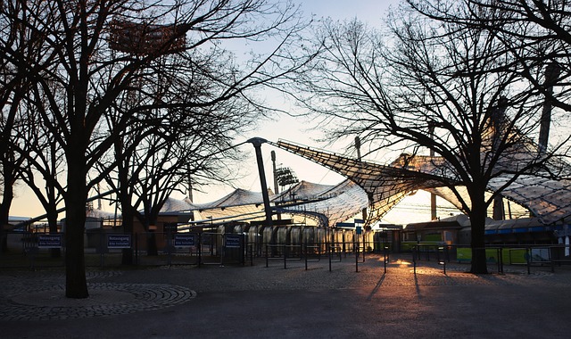 替补球员在 替补球员在